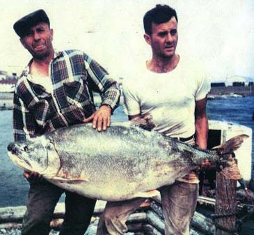 Fishing Worldrecords, Salmonidae over 10 kg