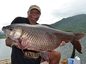 Fishing Worldrecords, carps over 25 kg